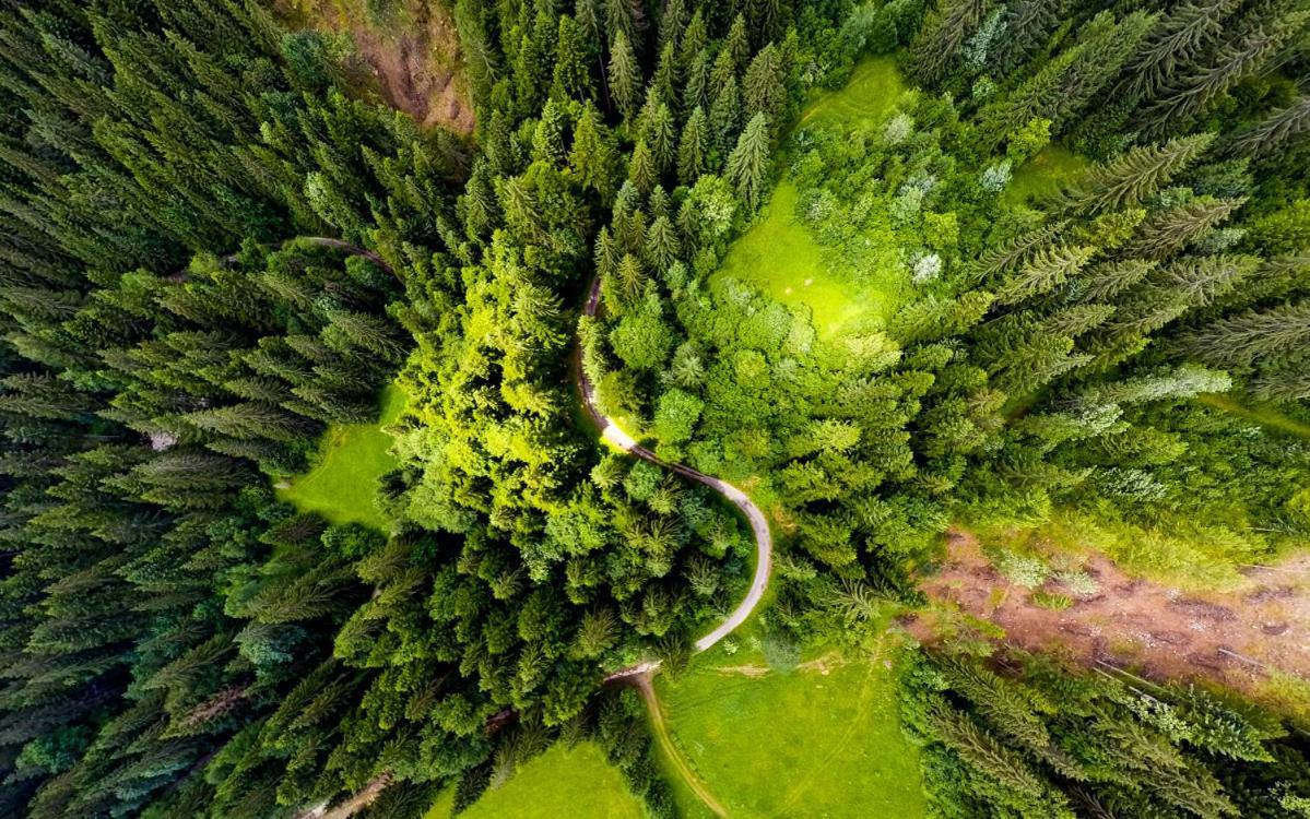 Resort Biela Skala - Chata Chopok Jasna Juh Быстра Экстерьер фото